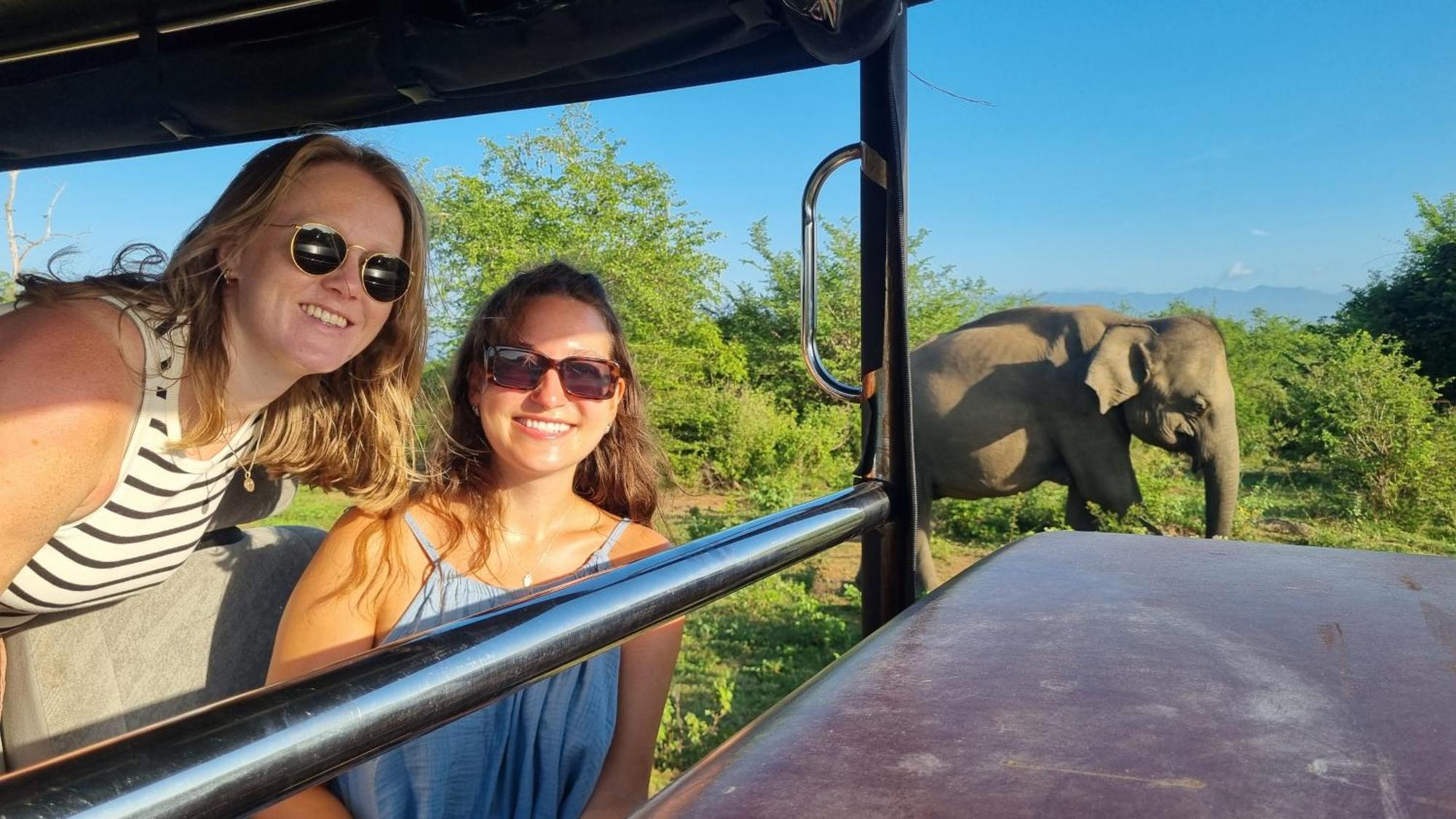 White Rose Safari Home Stay Udawalawe Eksteriør billede