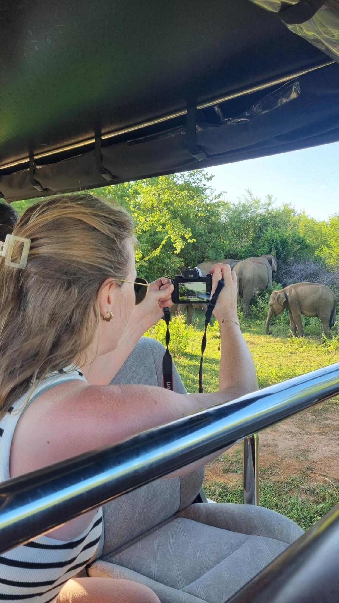 White Rose Safari Home Stay Udawalawe Eksteriør billede