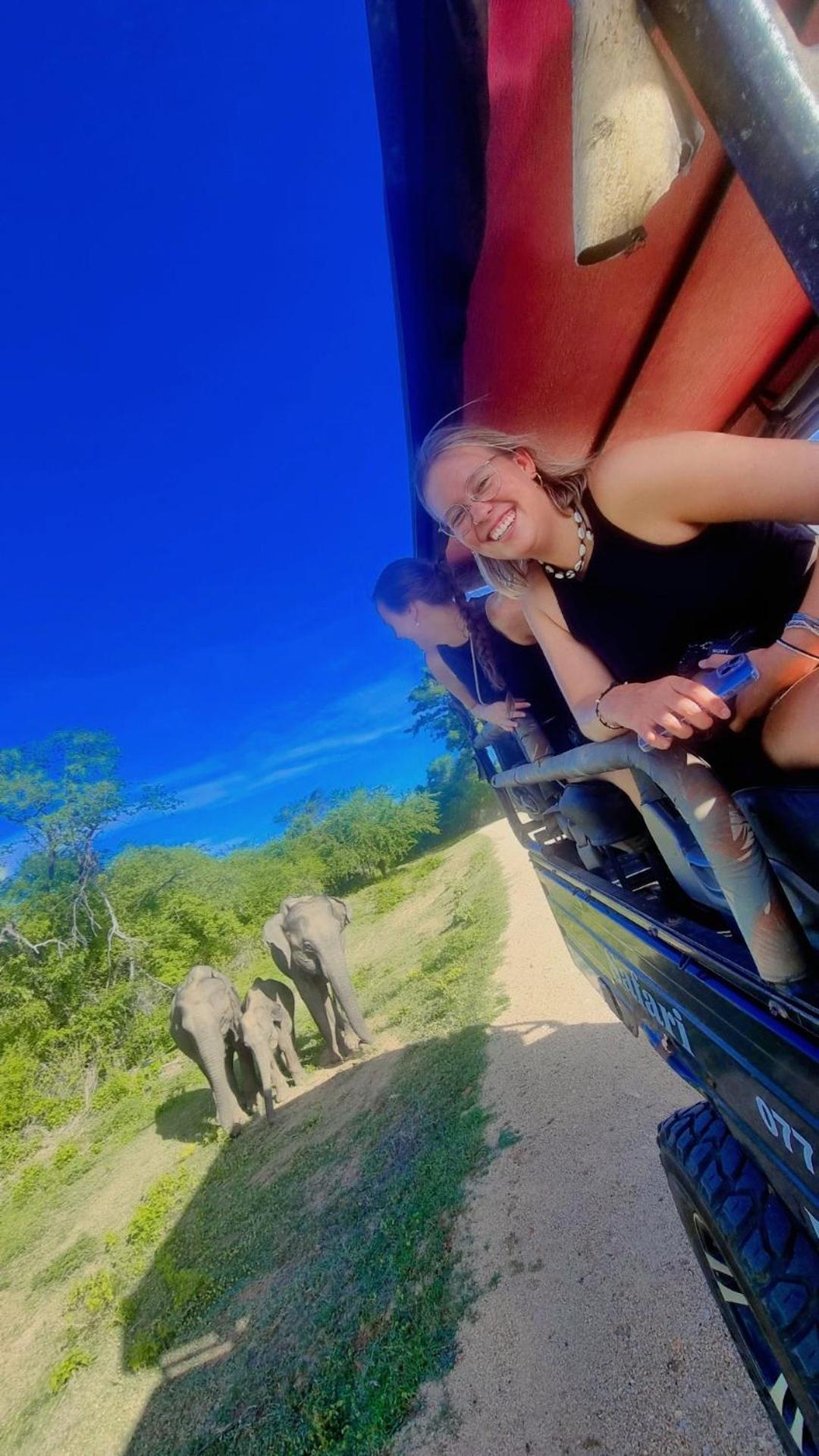 White Rose Safari Home Stay Udawalawe Eksteriør billede